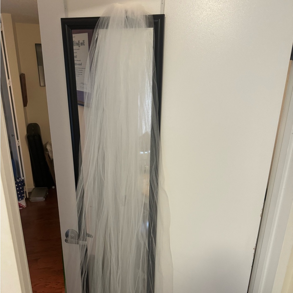 65in Veil